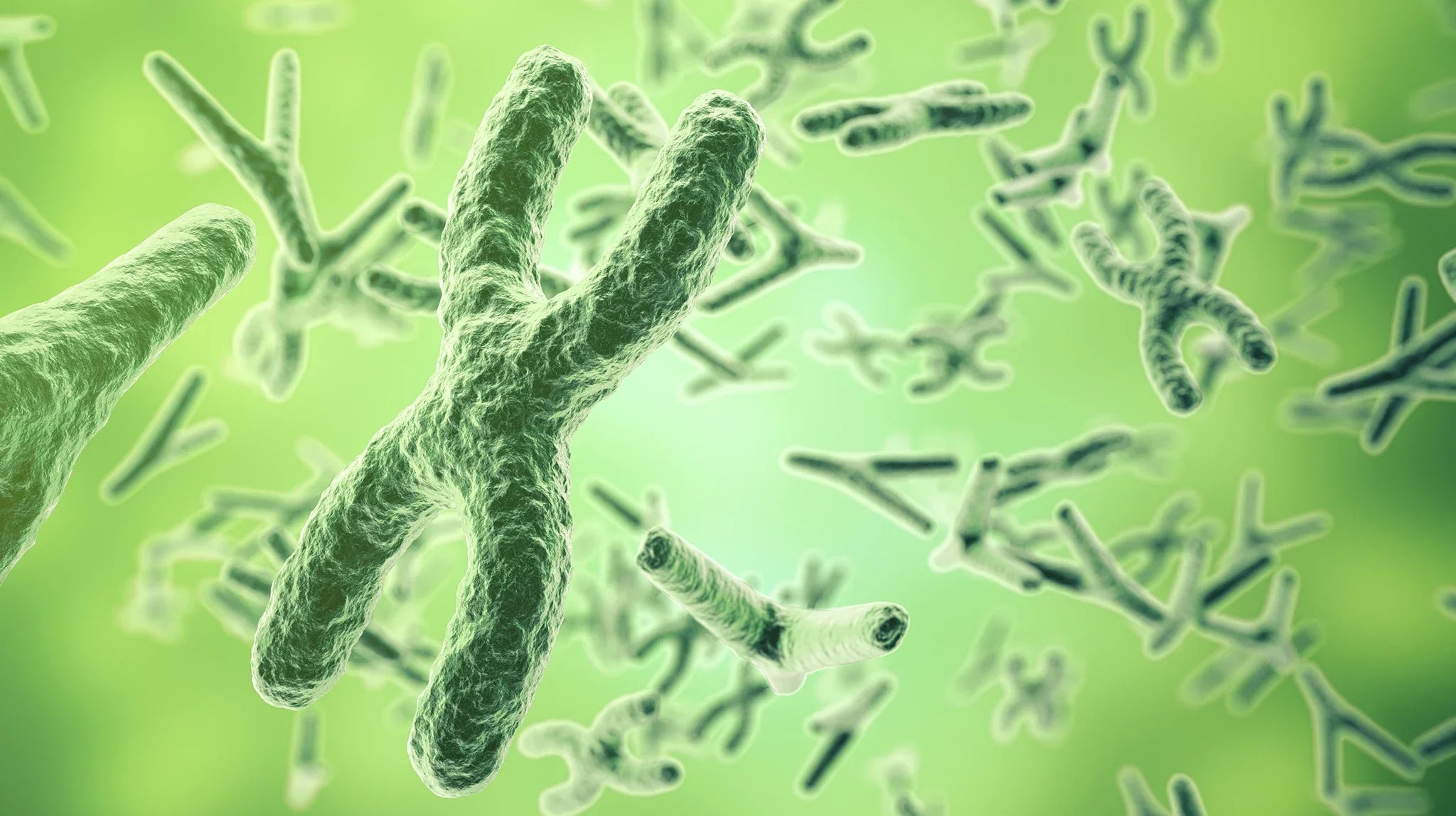 The Role of Telomeres in Aging: How Personalized Nutrition Can Slow the Clock